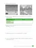 Miniatura página 65 de Ciencias Naturales – Cuarto Básico | Texto del Estudiante MINEDUC – Descargar PDF · 2024