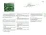 Miniatura página 194 de Posibilidades de trabajo para la acción transformadora y el codiseño. Ficheros. Fase 2  Libro de Educación Preescolar Grado 1°, 2°, 3°  Ciclo Escolar 2025 - 2026