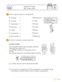Miniatura página 55 de Sumo Primero – Cuarto Básico | Texto del Estudiante MINEDUC – Descargar PDF · 2024
