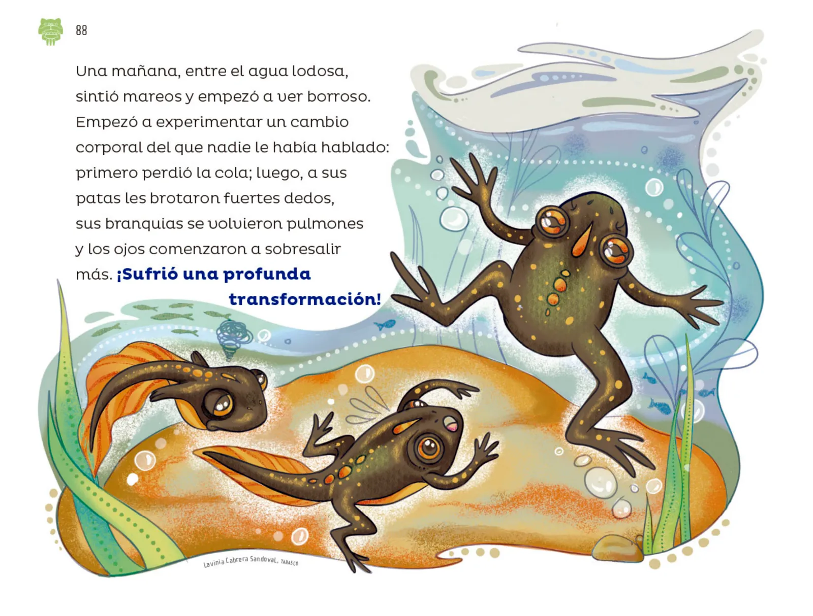 Miniatura página 89 de Múltiples lenguajes.   Libro de Educación Preescolar Grado 2°  Ciclo Escolar 2025 - 2026