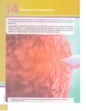 Miniatura página 113 de Ciencias Naturales 10° · 2025