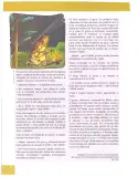 Miniatura página 66 de Lengua Y Literatura 10° · Egb 10 Lengua Y Literatura 2025 · 2025