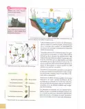Miniatura página 87 de Ciencias Naturales 8° · Egb 8 Ciencias Naturales 2025 · 2025