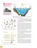 Miniatura página 87 de Ciencias Naturales 8° · Egb 8 Ciencias Naturales 2025 · 2025