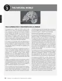 Miniatura página 20 de Inglés – Sexto Básico | Student’s Book MINEDUC – Descargar PDF · 2024