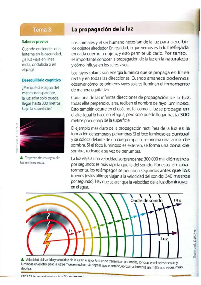 Página 163 de Ciencias Naturales 4° · Egb 4 Ciencias Naturales 2025 · 2025