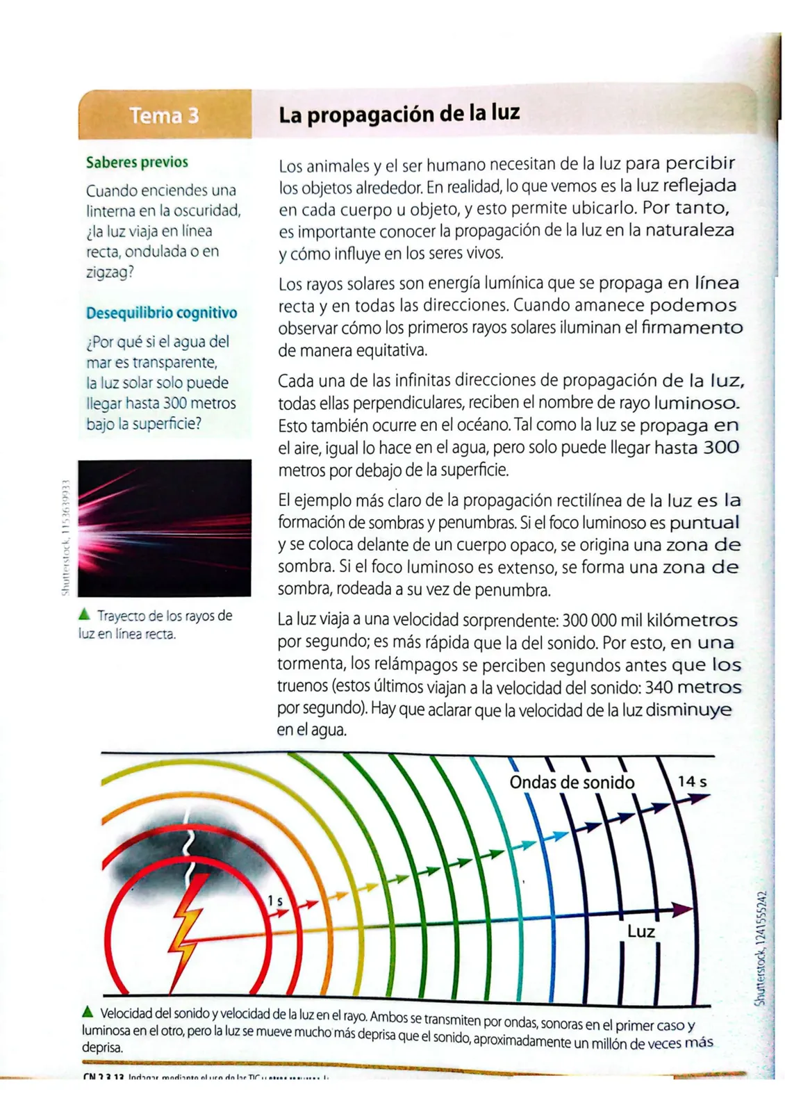 Miniatura página 163 de Ciencias Naturales · 4 EGB · 2025