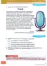 Miniatura página 24 de Lengua Y Literatura 3° · Egb 3 Lengua Y Literatura 2025 · 2025