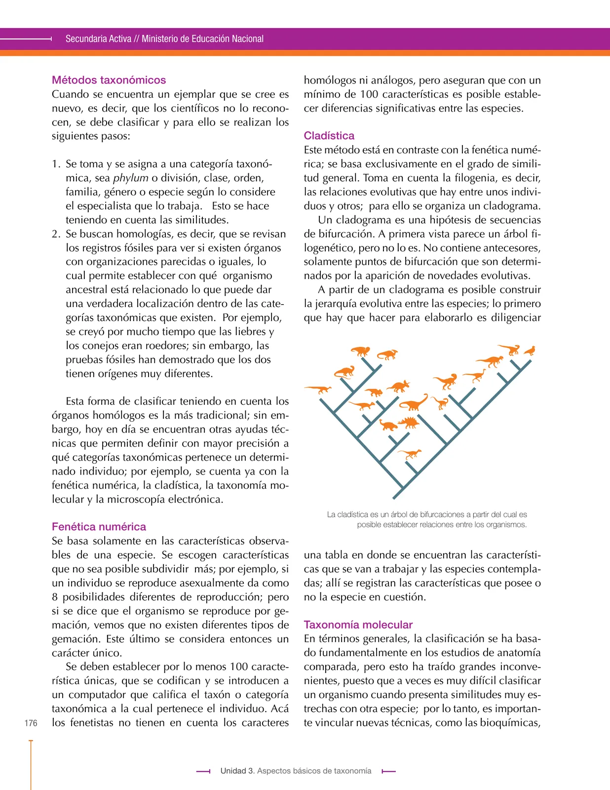 Página 176 de Ciencias Naturales 9° · Secundaria Activa