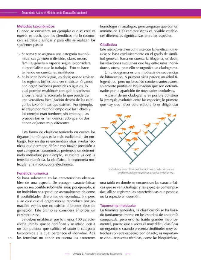 Página 176 de Ciencias Naturales 9° · Secundaria Activa