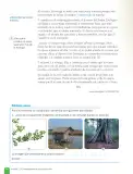 Miniatura página 78 de Lenguaje y Comunicación – Sexto Básico | Texto del Estudiante MINEDUC – Descargar PDF · 2024
