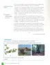 Miniatura página 78 de Lenguaje y Comunicación – Sexto Básico | Texto del Estudiante MINEDUC – Descargar PDF · 2024