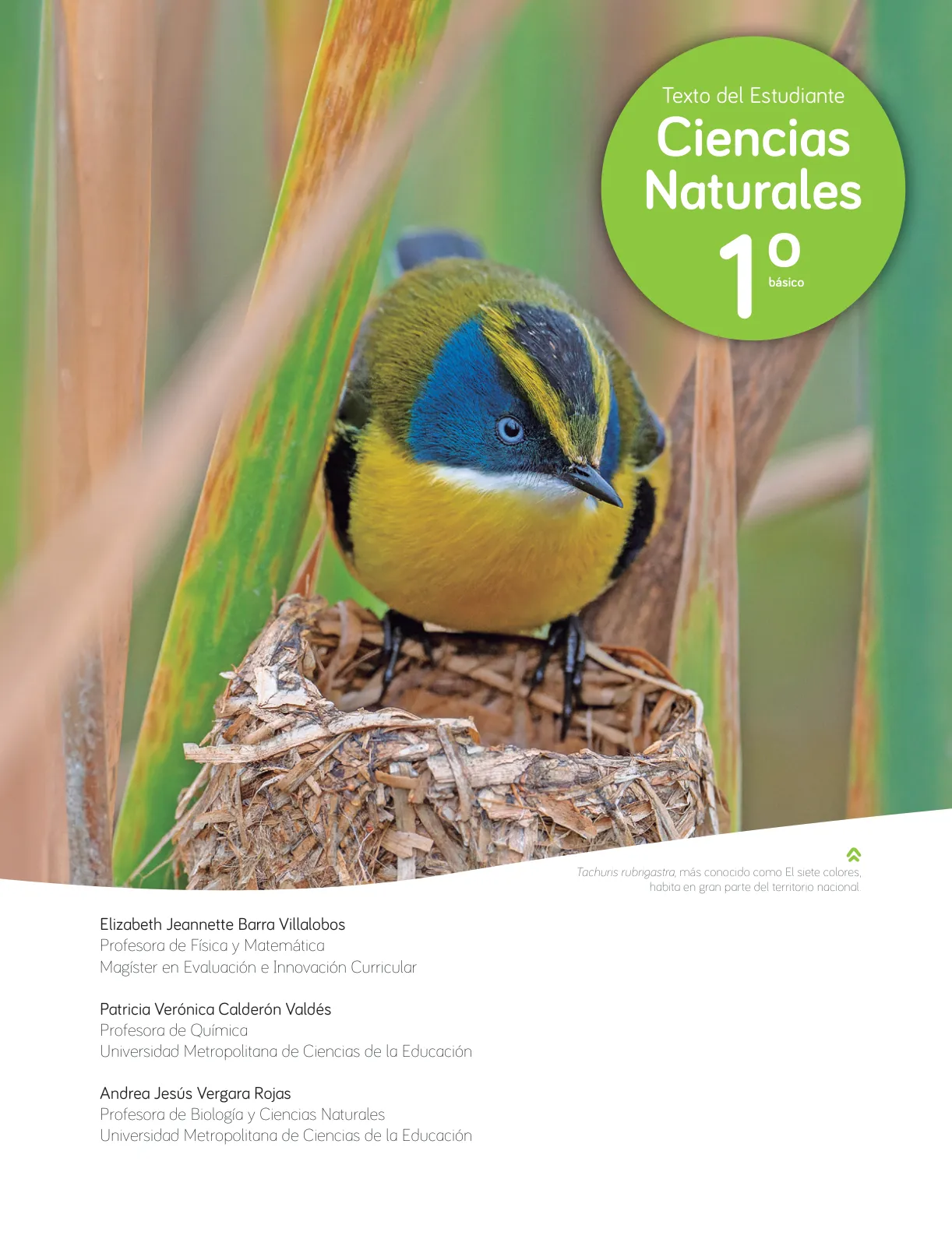 Miniatura página 3 de Ciencias Naturales – Primero Básico | Texto del Estudiante (MINEDUC) – Descargar PDF · 2024
