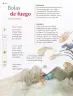 Miniatura página 141 de Múltiples lenguajes.   Libro de Educación Primaria Grado 3°  Ciclo Escolar 2025 - 2026
