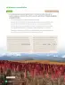 Miniatura página 78 de Libro de Ciencias Naturales – Quinto Básico | Texto del Estudiante MINEDUC – Descargar PDF · 2024