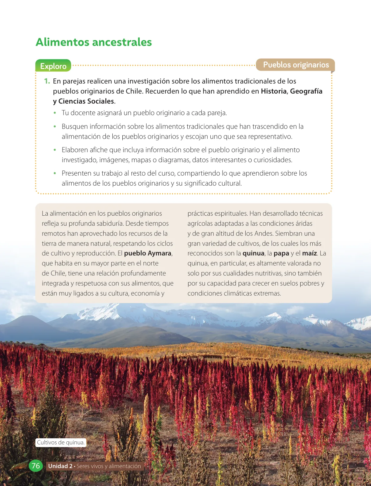 Miniatura página 78 de Libro de Ciencias Naturales – Quinto Básico | Texto del Estudiante MINEDUC – Descargar PDF · 2024