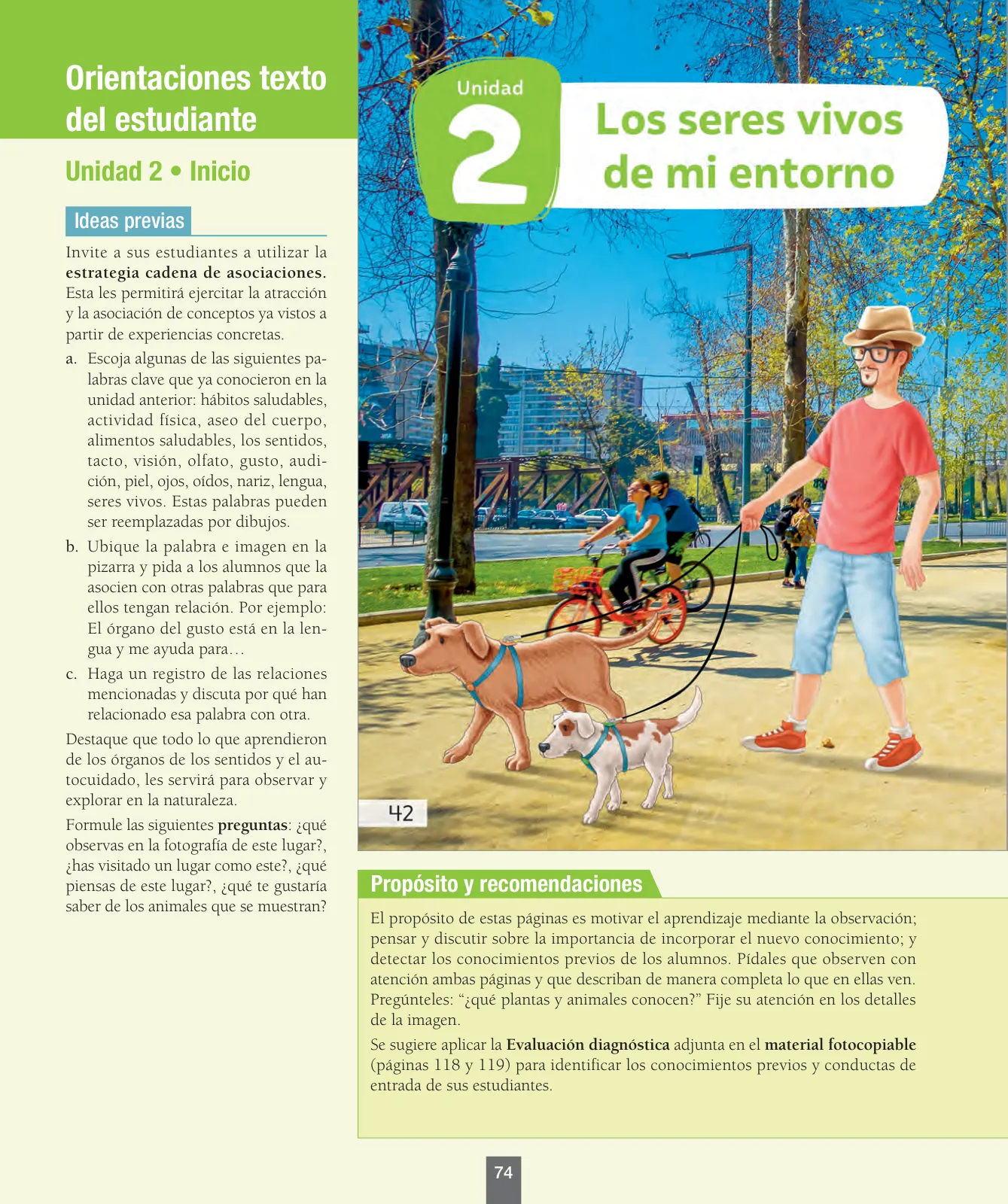Miniatura página 75 de Ciencias Naturales – Primero Básico | Texto del Estudiante (MINEDUC) – Descargar PDF · 2024