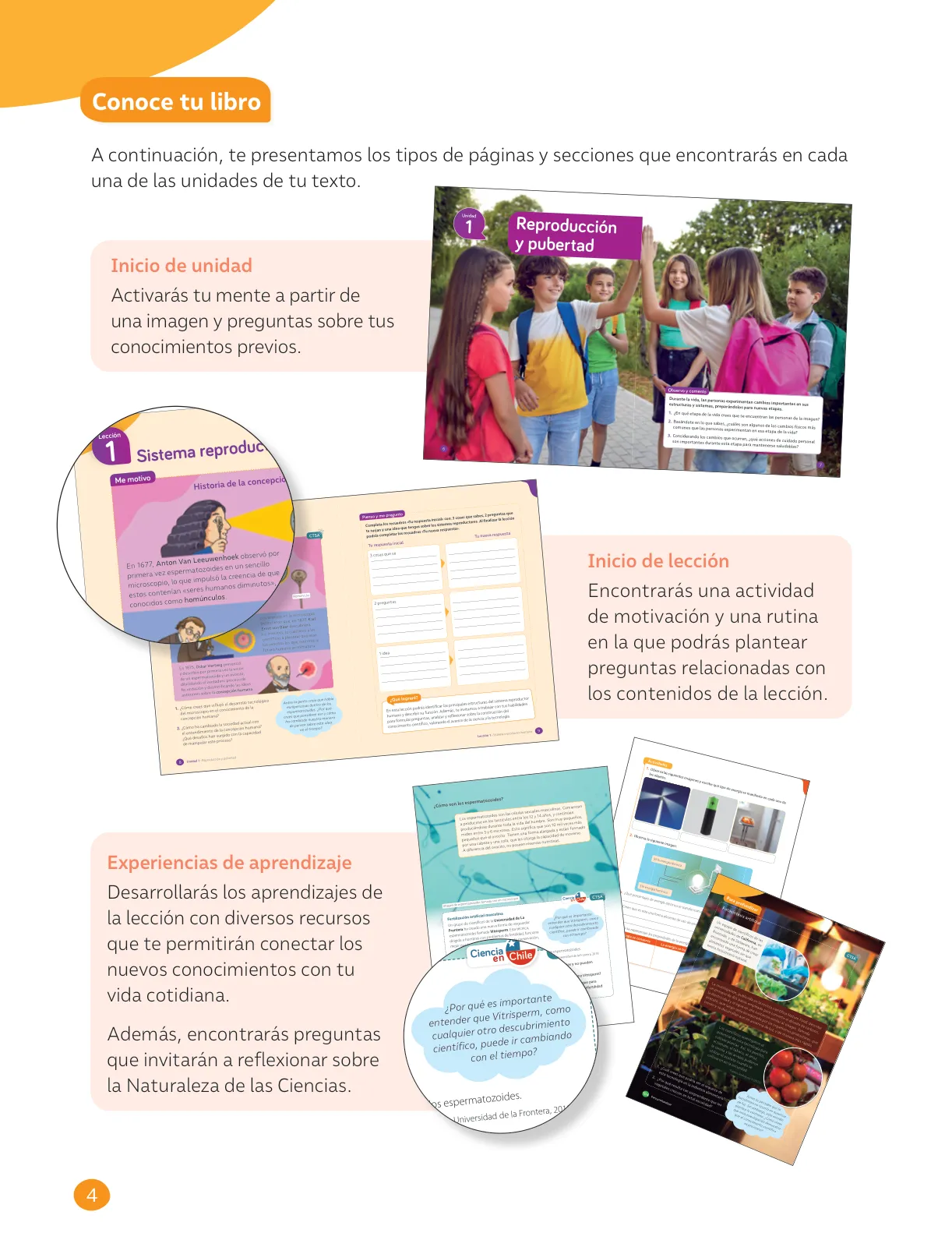 Página 6 de Libro de Ciencias Naturales – Quinto Básico | Texto del Estudiante MINEDUC – Descargar PDF · 2024