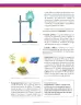 Miniatura página 165 de Ciencias Naturales 7° · Secundaria Activa