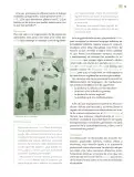 Miniatura página 76 de Modalidades de trabajo para la acción transformadora y el codiseño  Libro de Educación Preescolar Grado 1°, 2°, 3°  Ciclo Escolar 2025 - 2026