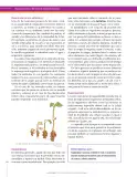 Miniatura página 138 de Ciencias Naturales 6° · Secundaria Activa