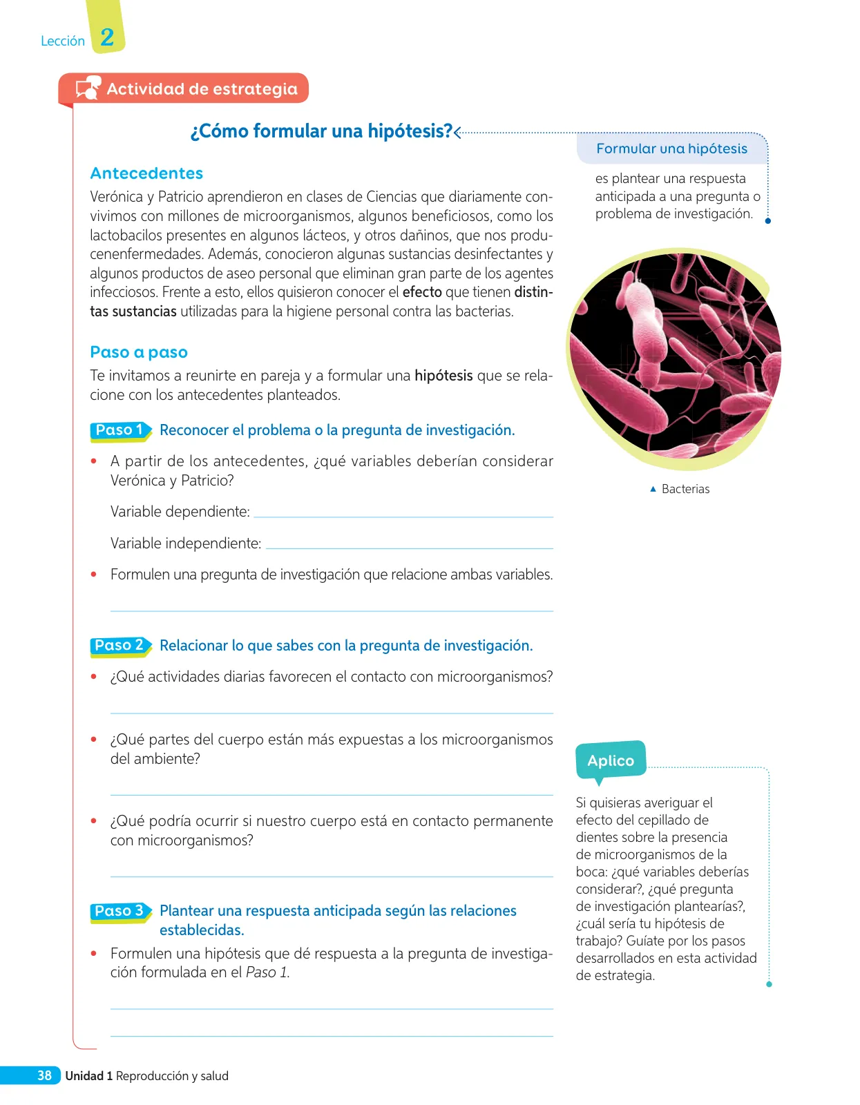 Página 115 de Libro de Ciencias Naturales – Quinto Básico | Texto del Estudiante MINEDUC – Descargar PDF · 2024