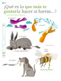 Miniatura página 159 de Múltiples lenguajes.   Libro de Educación Primaria Grado 2°  Ciclo Escolar 2025 - 2026