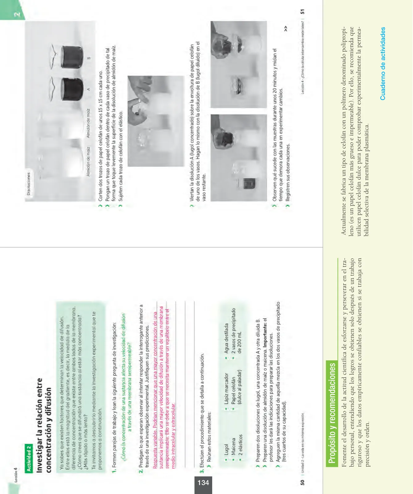 Miniatura página 135 de Ciencias Naturales – Octavo Básico | Texto del Estudiante MINEDUC – Descargar PDF · 2024