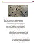Miniatura página 20 de Colección Nanahuatzin. Ética, naturaleza y sociedades.   Libro de Educación Secundaria Grado 3°  Ciclo Escolar 2025 - 2026