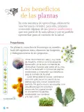 Miniatura página 175 de Proyectos Comunitarios.   Libro de Educación Primaria Grado 1°  Ciclo Escolar 2025 - 2026