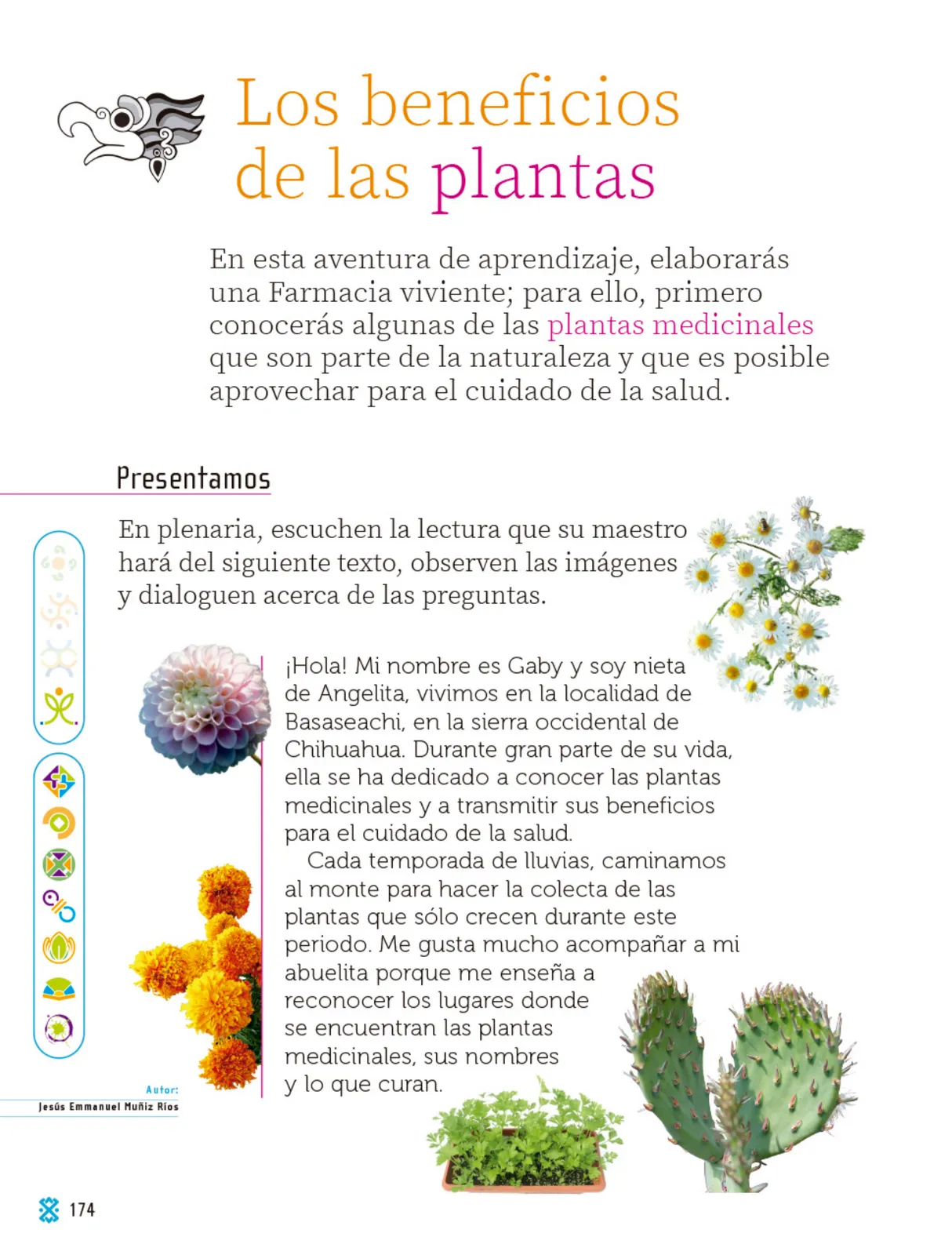 Miniatura página 175 de Proyectos Comunitarios.   Libro de Educación Primaria Grado 1°  Ciclo Escolar 2025 - 2026