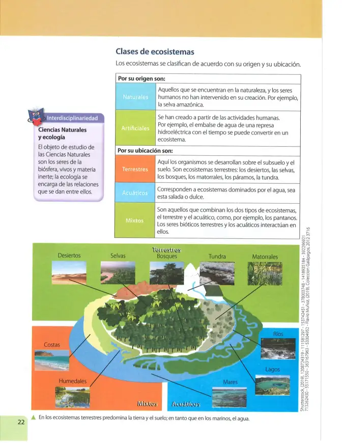 Página 21 de Ciencias Naturales 7° · 2025