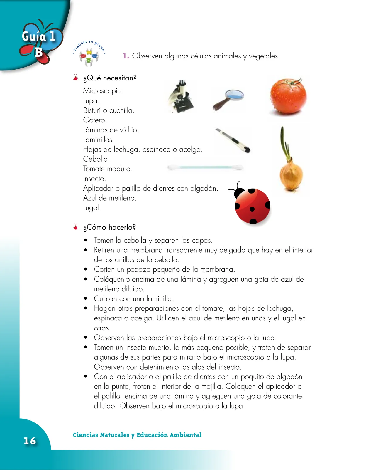 Página 16