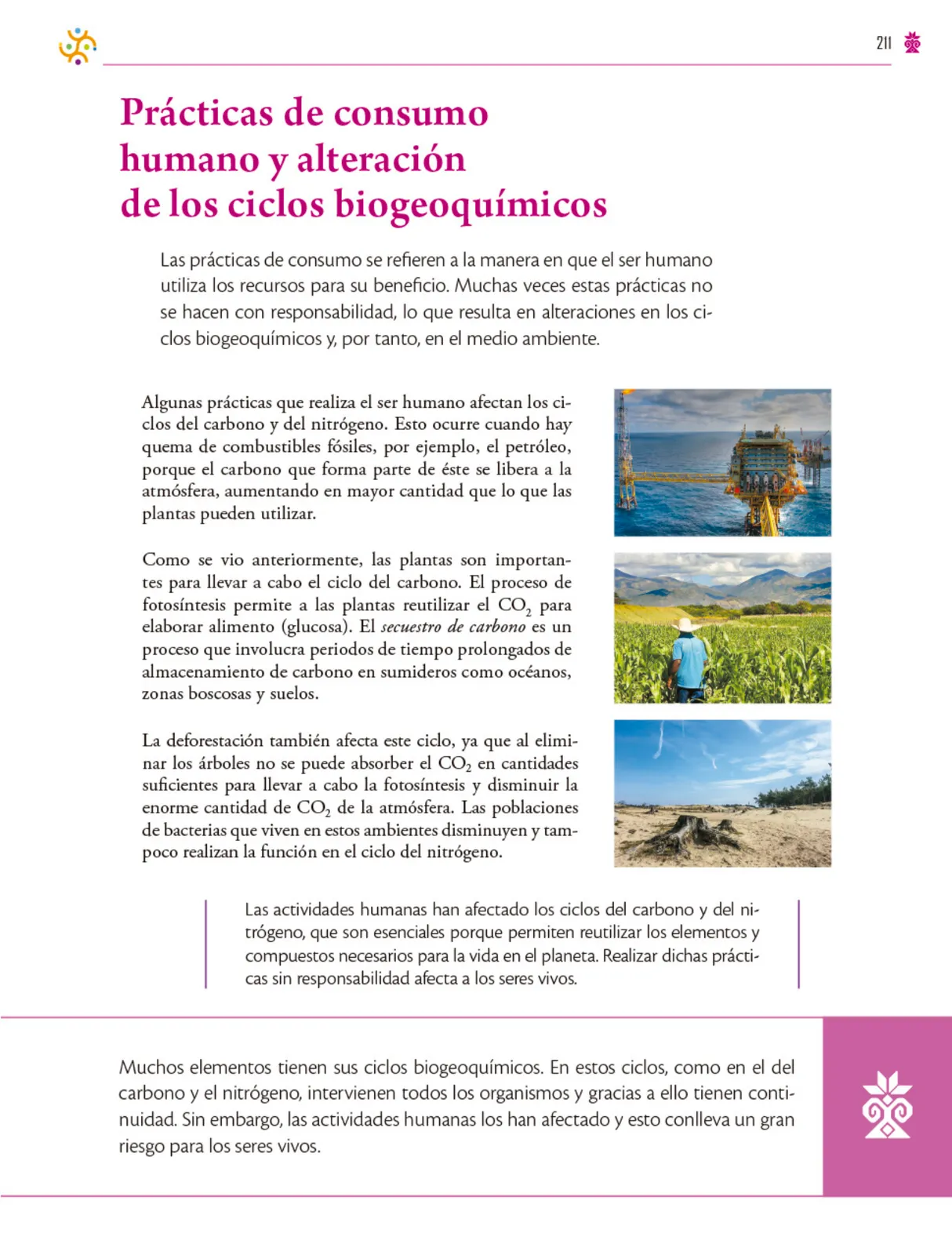Miniatura página 212 de Colección Ximhai. Saberes y pensamiento científico.   Libro de Educación Secundaria Grado 1°  Ciclo Escolar 2025 - 2026