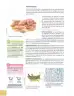 Miniatura página 17 de Ciencias Naturales 10° · 2025