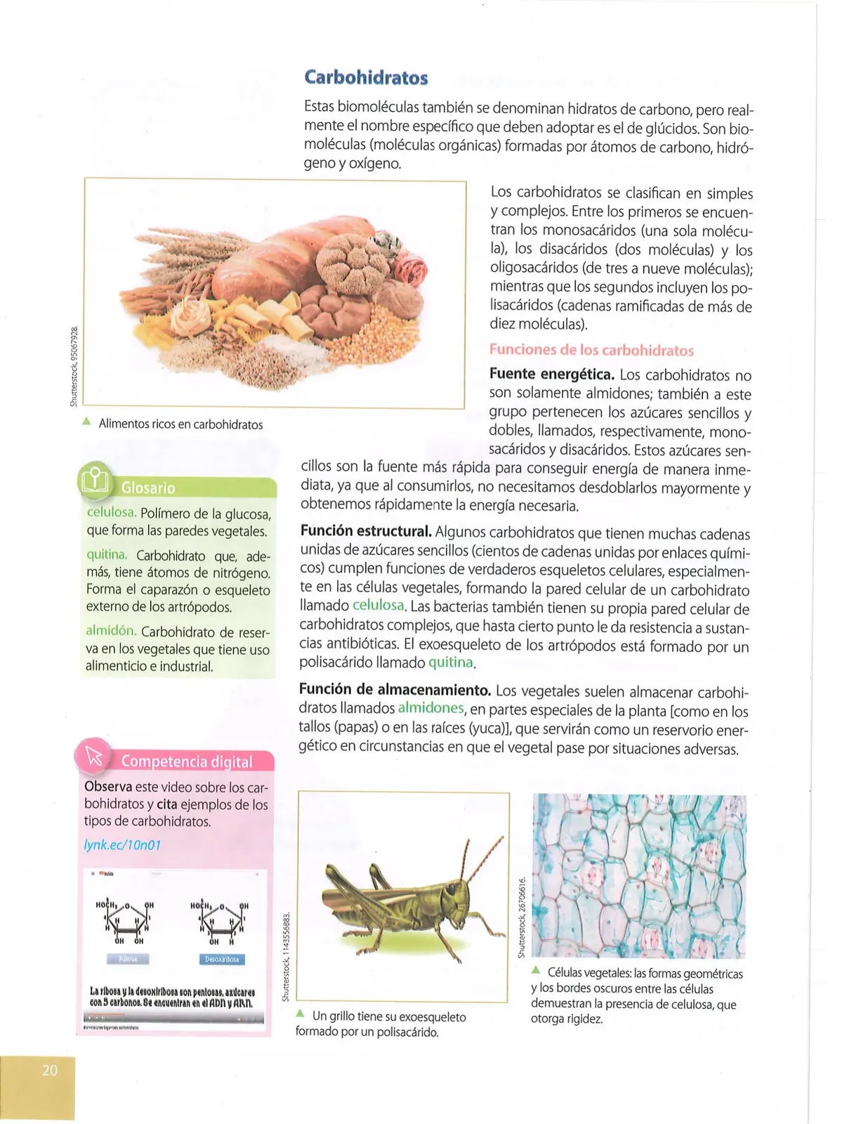 Pág 17