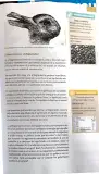 Miniatura página 36 de Lengua y Literatura 1° · 2025