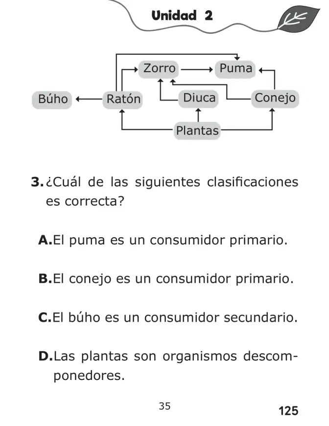 Página 125 de Libro de Ciencias Naturales – Quinto Básico | Texto del Estudiante MINEDUC – Descargar PDF · 2024