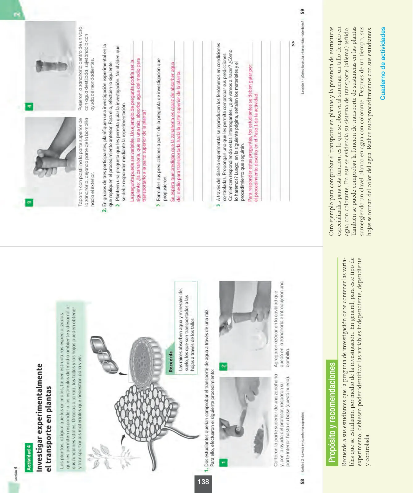 Página 139 de Ciencias Naturales – Octavo Básico | Texto del Estudiante MINEDUC – Descargar PDF · 2024