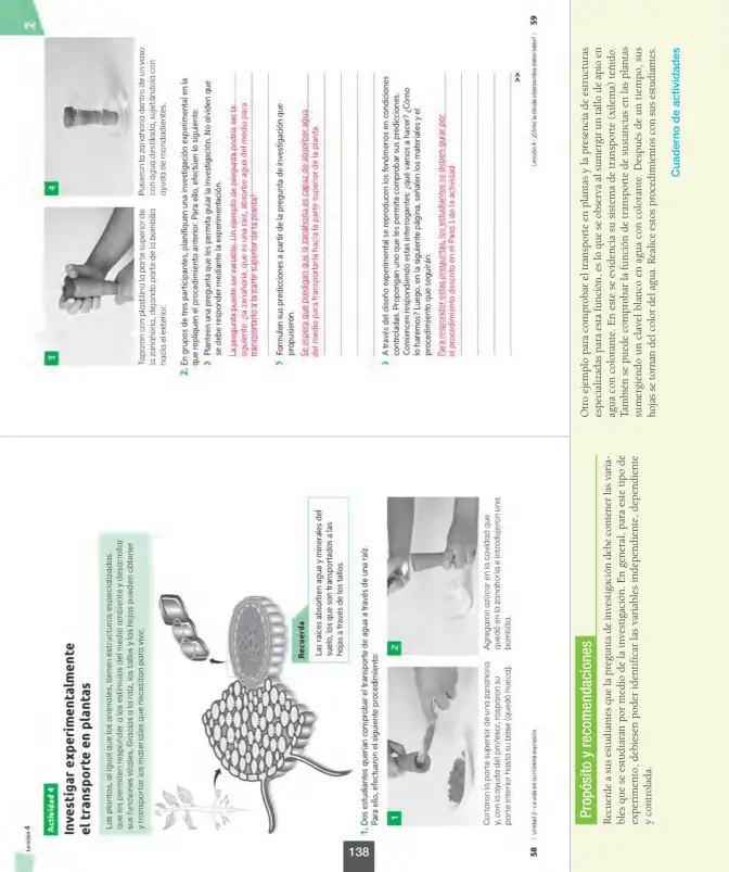 Página 139 de Ciencias Naturales – Octavo Básico | Texto del Estudiante MINEDUC – Descargar PDF · 2024