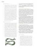 Miniatura página 101 de Modalidades de trabajo para la acción transformadora y el codiseño  Libro de Educación Preescolar Grado 1°, 2°, 3°  Ciclo Escolar 2025 - 2026