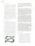 Miniatura página 101 de Modalidades de trabajo para la acción transformadora y el codiseño  Libro de Educación Preescolar Grado 1°, 2°, 3°  Ciclo Escolar 2025 - 2026