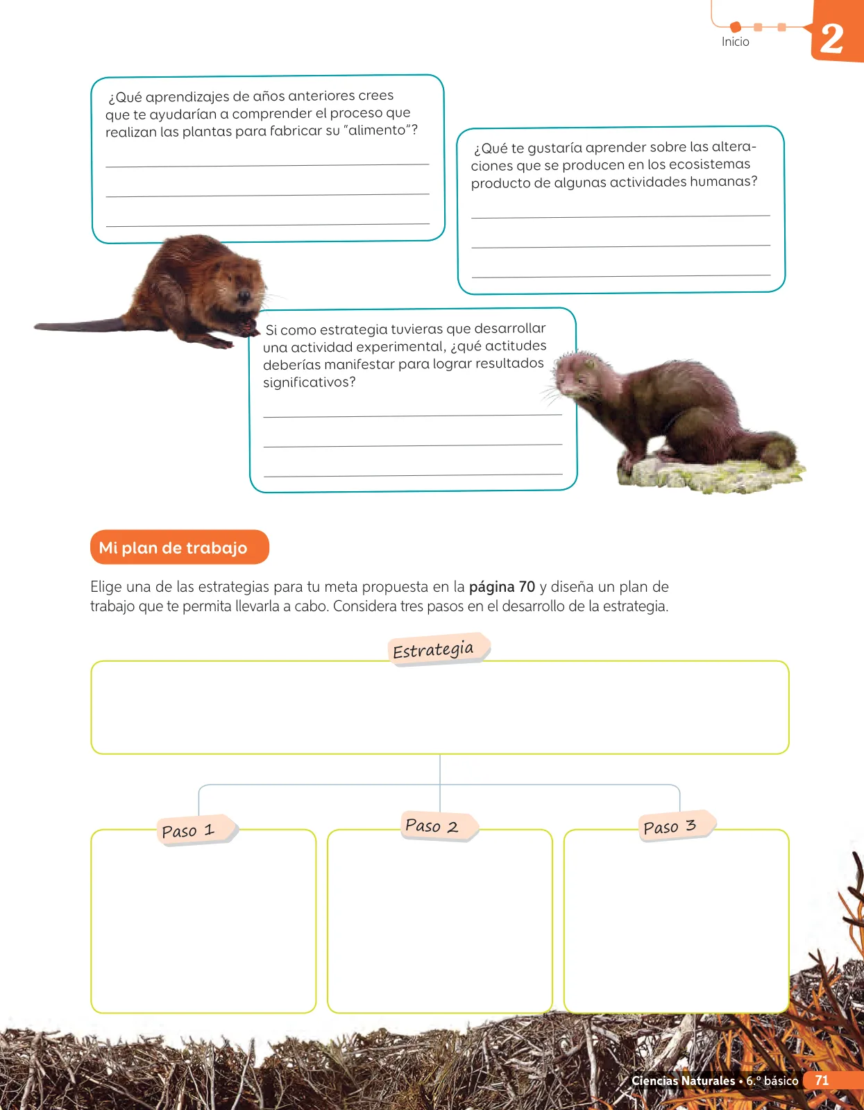 Página 190 de Libro de Ciencias Naturales – Quinto Básico | Texto del Estudiante MINEDUC – Descargar PDF · 2024