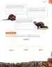 Miniatura página 190 de Libro de Ciencias Naturales – Quinto Básico | Texto del Estudiante MINEDUC – Descargar PDF · 2024