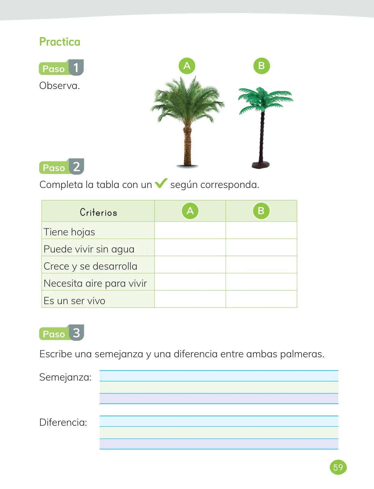 Página 61 de Ciencias Naturales – Primero Básico | Texto del Estudiante (MINEDUC) – Descargar PDF · 2024