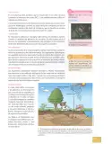 Miniatura página 102 de Ciencias Naturales 8° · Egb 8 Ciencias Naturales 2025 · 2025