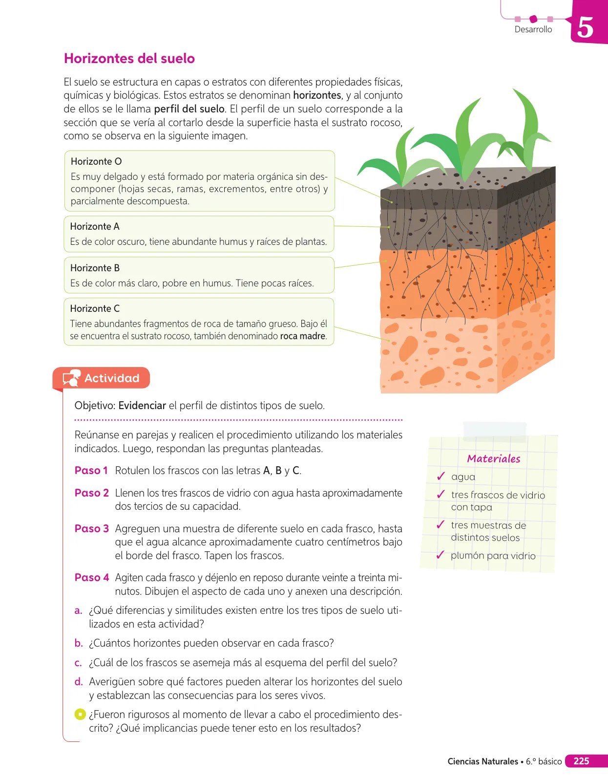 Miniatura página 176 de Libro de Ciencias Naturales – Quinto Básico | Texto del Estudiante MINEDUC – Descargar PDF · 2024