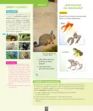 Miniatura página 71 de Ciencias Naturales – Segundo Básico | Texto del Estudiante MINEDUC – Descargar PDF · 2024