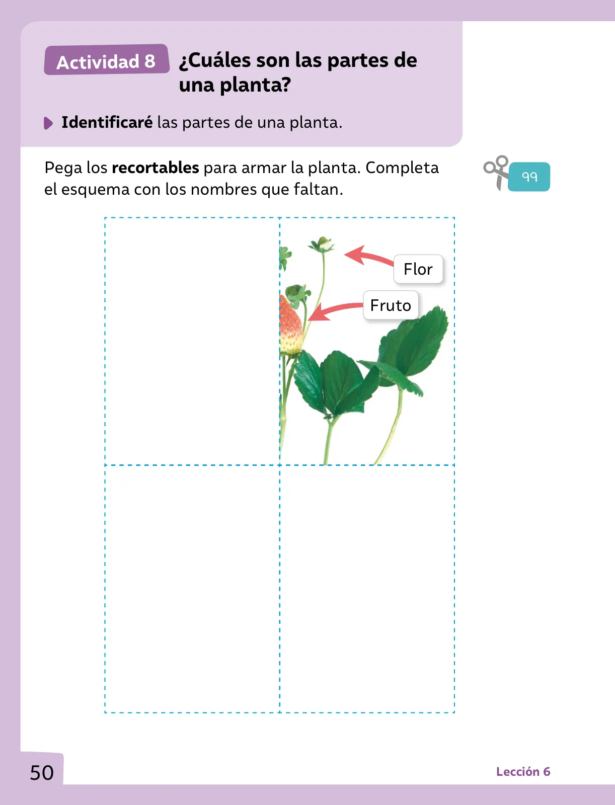 Página 51 de Ciencias Naturales – Primero Básico | Texto del Estudiante (MINEDUC) – Descargar PDF · 2024