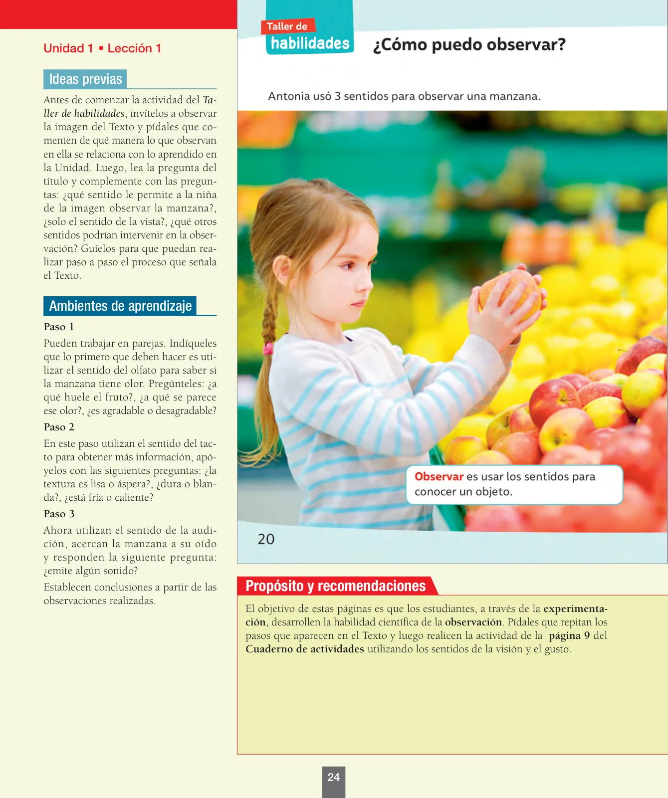Miniatura página 25 de Ciencias Naturales – Primero Básico | Texto del Estudiante (MINEDUC) – Descargar PDF · 2024